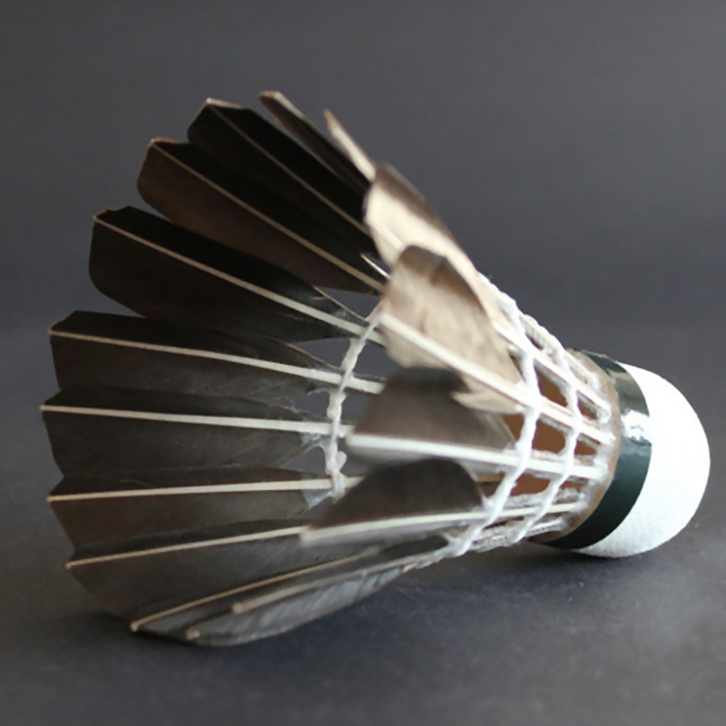 Nowe 3/6/12 szt. Profesjonalne – Badminton Xxl recenzja i cena