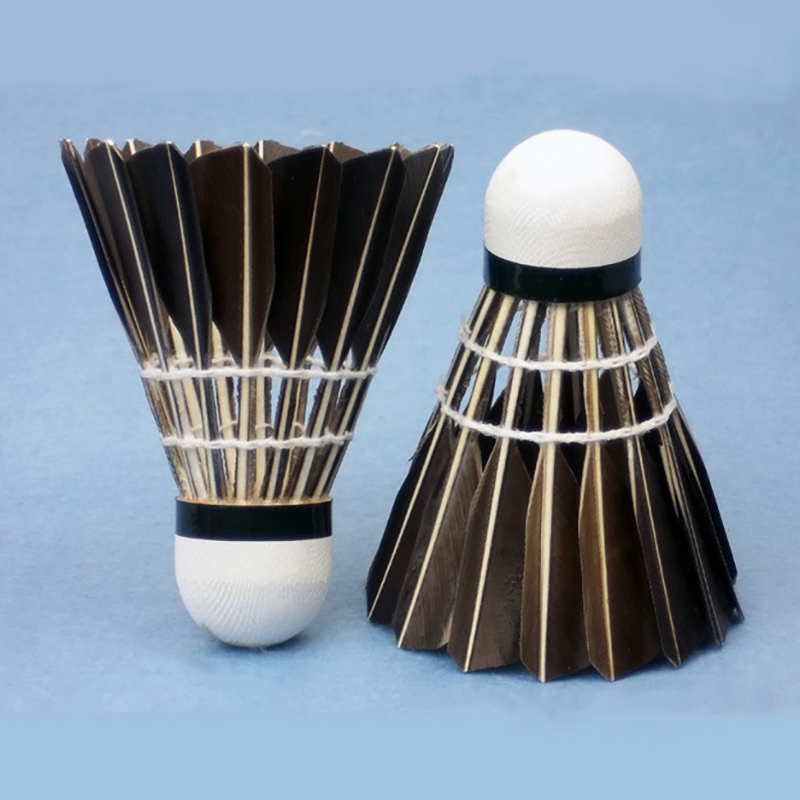 Nowe 3/6/12 szt. Profesjonalne – Badminton Xxl recenzja i cena